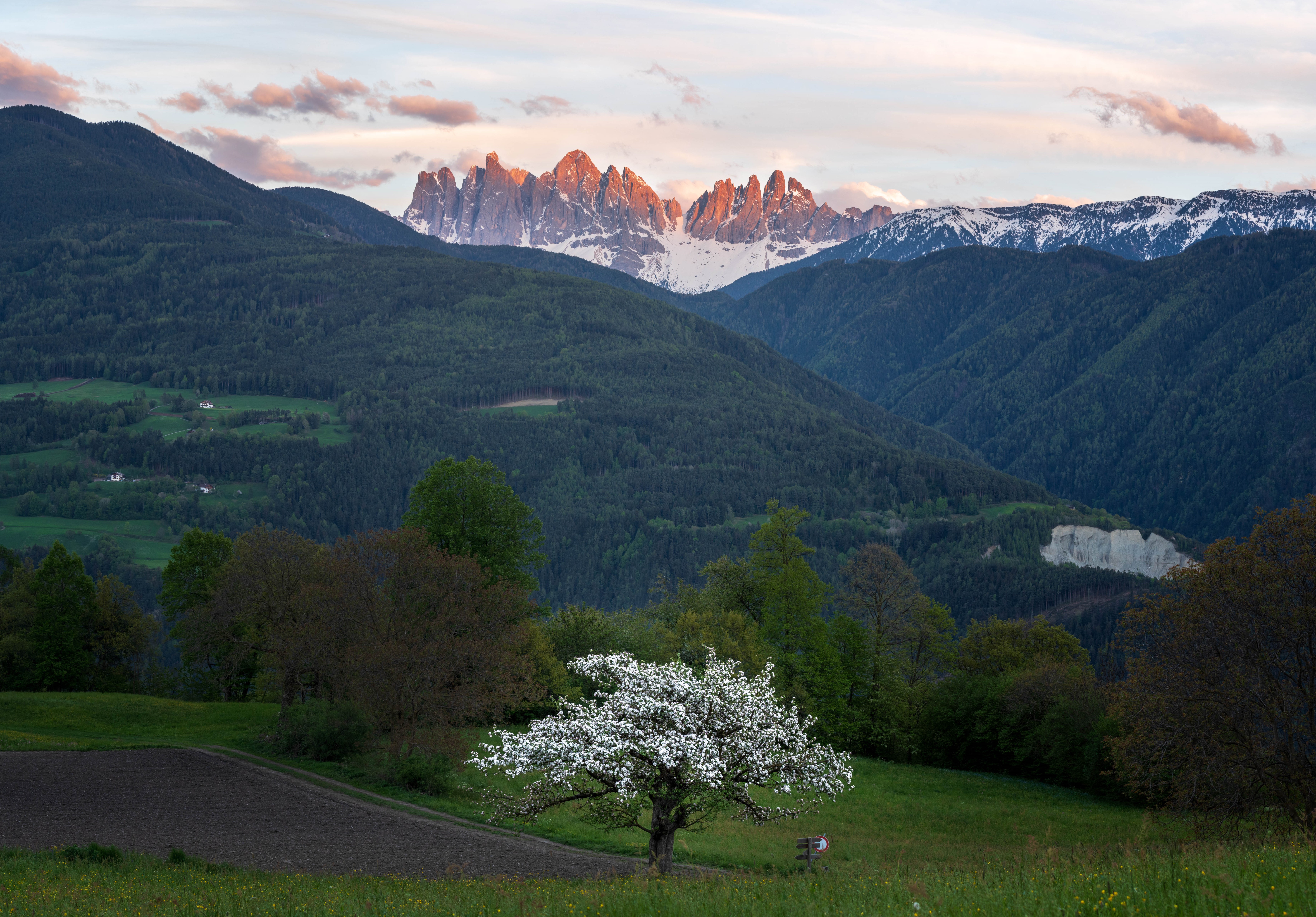 Proderhof Urlaub auf dem Bauernhof Activities in Spring / Summer