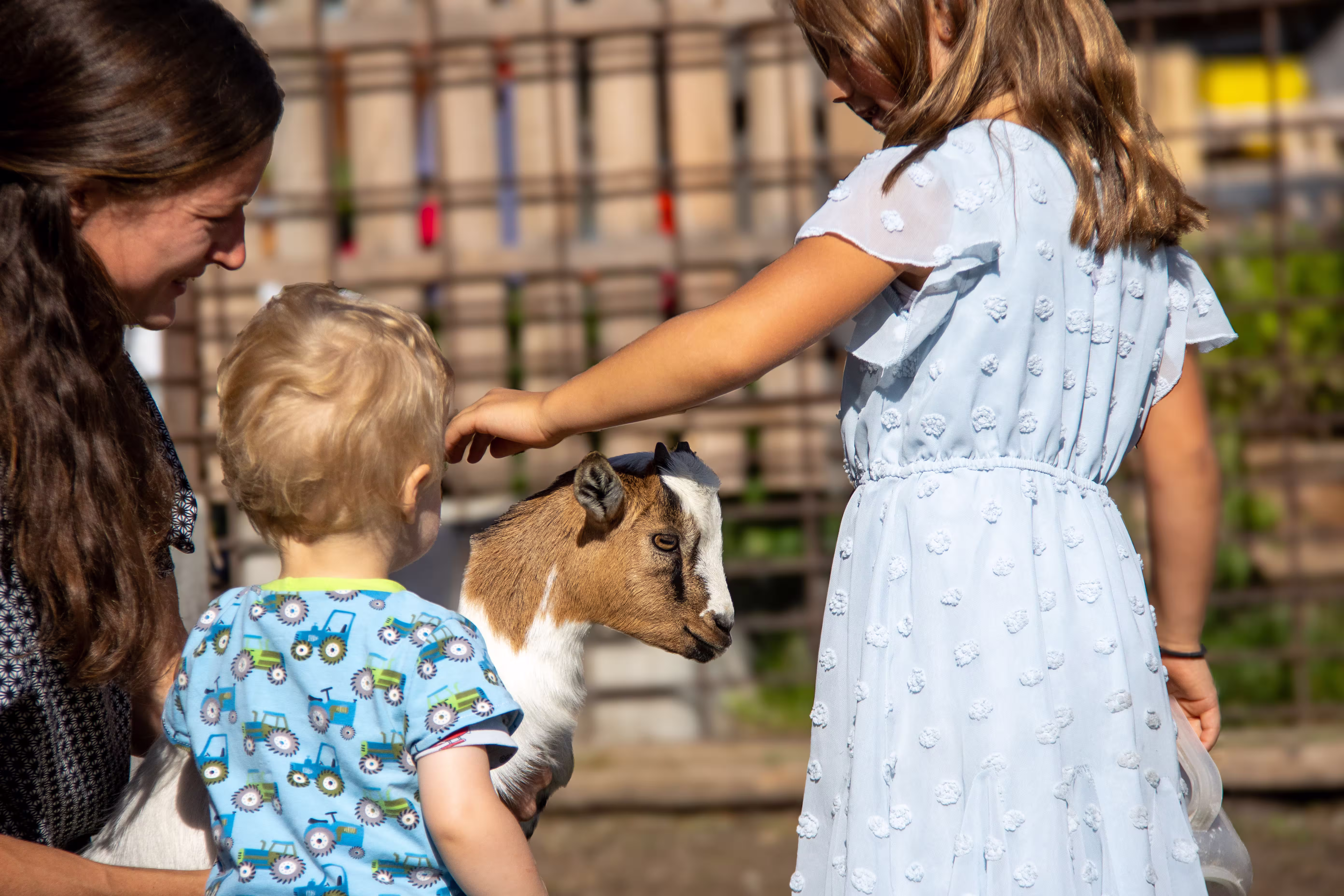 Zoo delle carezze Proderhof 2